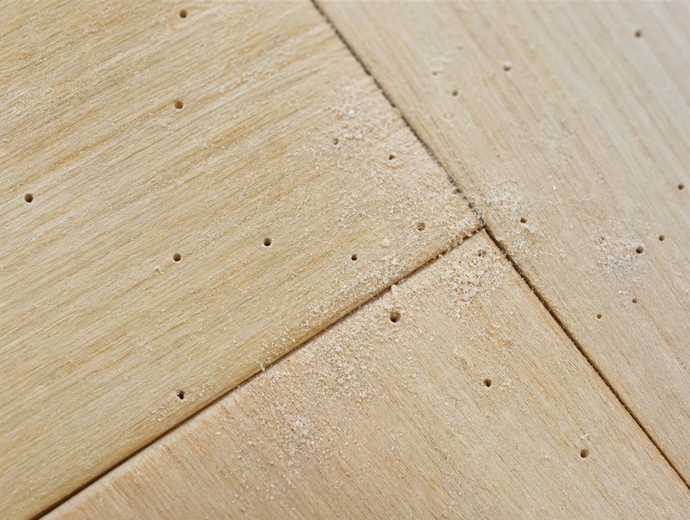 Splintholzkäfer