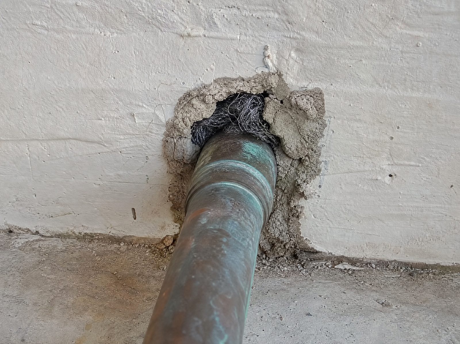Titelbild: Mäuse vertreiben: Was gegen Mäuse im Haus wirklich hilft