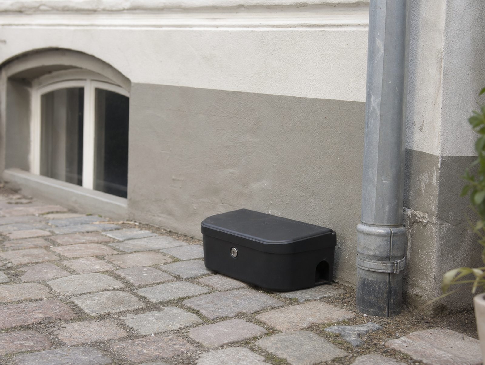 Rattenbekämpfung in Altona
